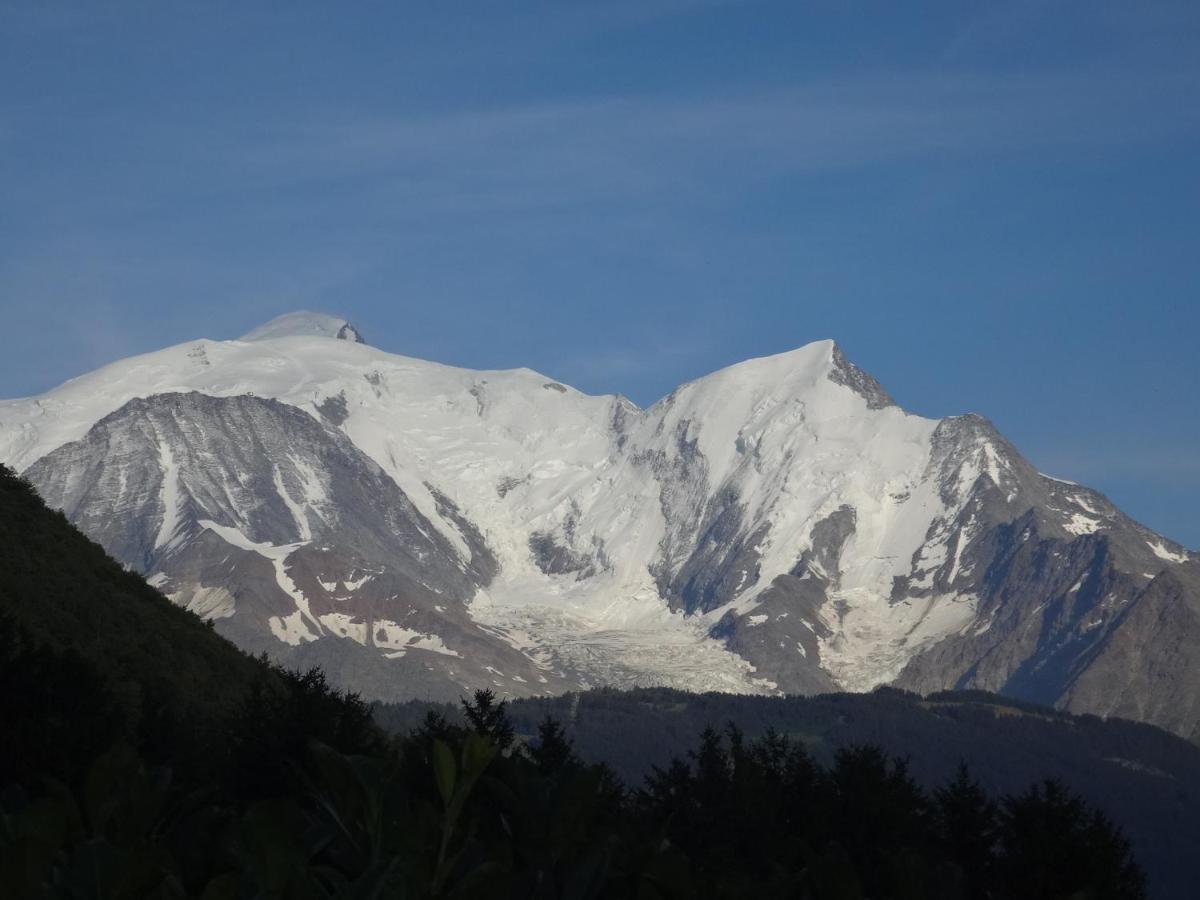 Mont Blanc Holidays Dans Residence Avec Gardien Sallanches Exterior photo